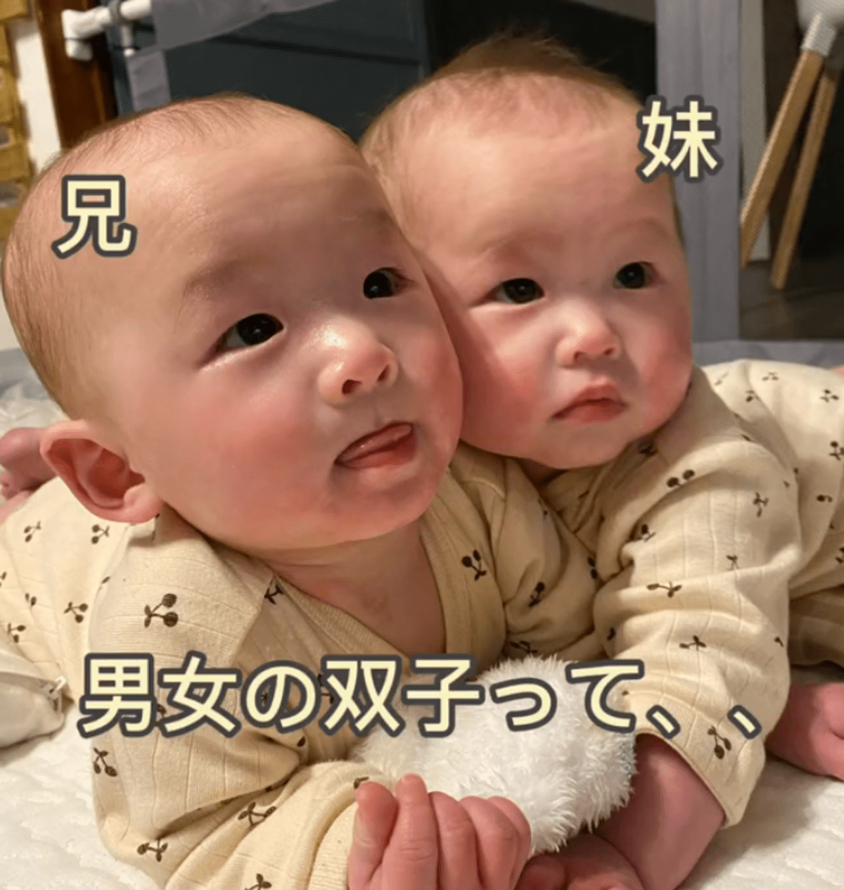 双子の洋服がお揃いなのってなんで？」そりゃもう可愛いからですよ！ 双子育児、ちょっぴり詰んでます！ 16- レタスクラブ