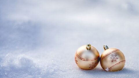 映画だけの話じゃない？プロポーズする時にひざまずく理由とは？E-RinGet