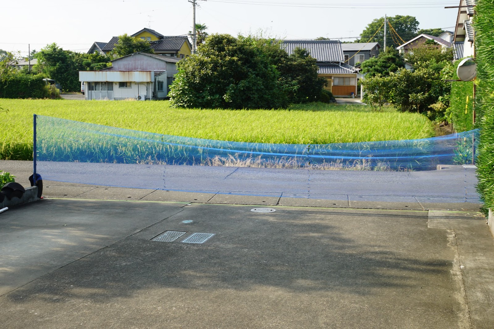 楽天市場 子供 飛び出し 防止 エクステリア・ガーデンファニチャー花・ガーデン・DIY の通販