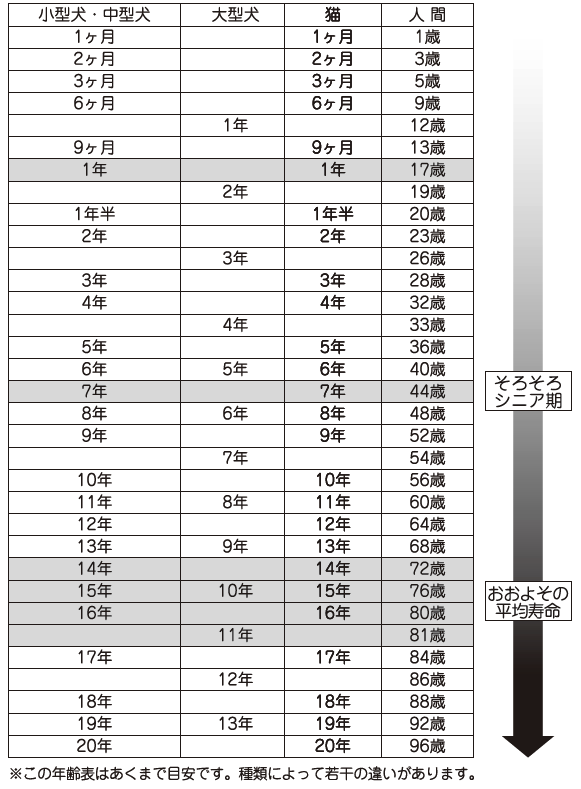 愛犬は人間だと何歳？ 犬の年齢換算表 最新計算方法や長生きのポイントを紹介INUNAVI いぬなび