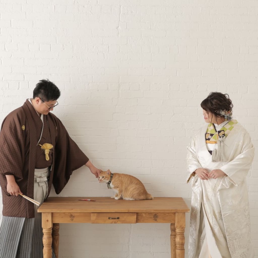 大人気 猫とブライダルフォト。ペットも大事な家族です。ペットフォトウェディング！一緒に結婚写真撮りませんか？