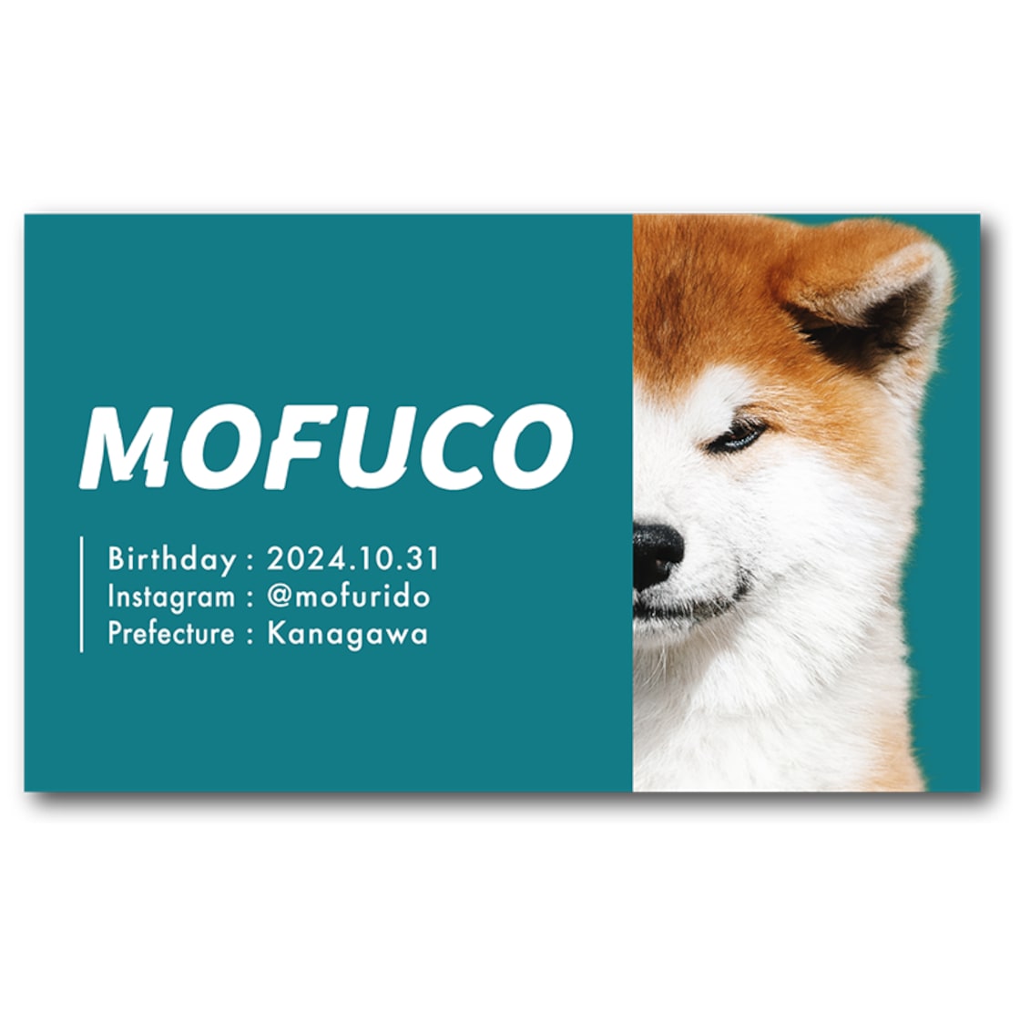 ペット名刺 校正無料 写真切抜無料 レビュー最多 豊富な実績 大好きなペットの写真を入れることができます 多頭対応OKうちの子名刺 送料無料 :紙ってるYahoo!店 - 通販 - Yahoo!ショッピング