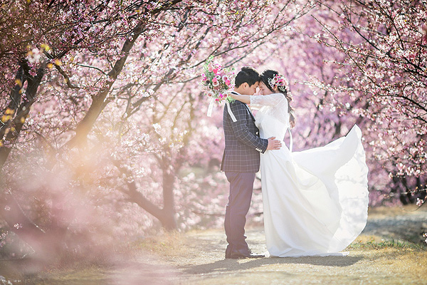 春の桜ロケーションフォト撮影キャンペーン前撮り・フォトウェディング・結婚写真なら ワタベウェディング