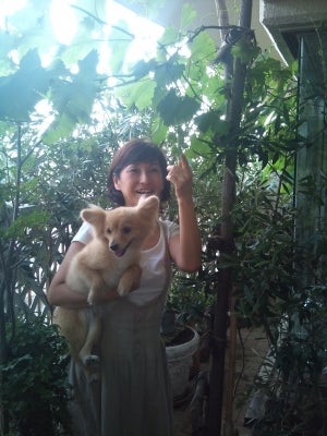 素敵！ 青柳啓子さん68歳の「今」に見る、暮らしのヒント 『68歳。今も変わらず好きなもの』BOOKウォッチ