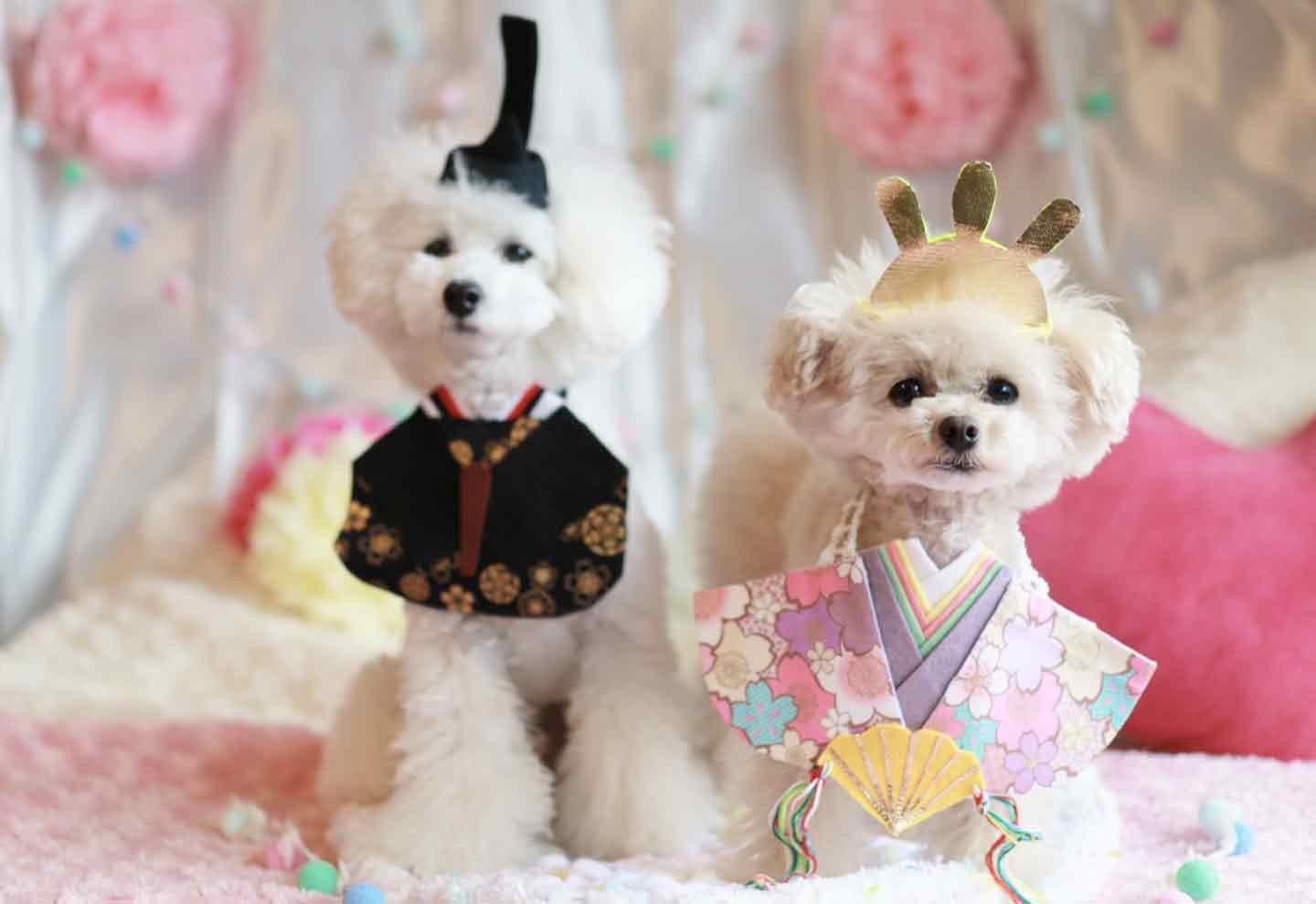 ベビー袴 ひな祭り衣装 80〜90 ワンタッチ着物 袴 ロンパース ワンピース 着脱簡単 子供用 七夕衣装 夏祭り お雛様 桃の節句 初節句コスチューム お家フォト : mom.and.dad. - 通販 - Yahoo!ショッピング