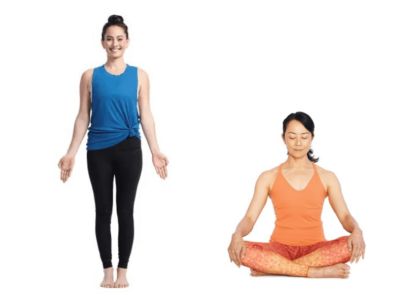 バストアップには筋トレが必要不可欠!効果がある簡単トレーニング方法を紹介 - LK.Fit