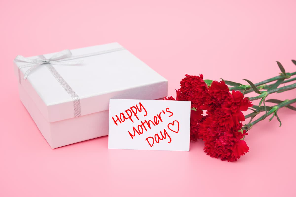 母の日 花 鉢植え カーネーション プレゼント 花鉢 母の日ギフト 母の日のプレゼント-安心と感動を送る！フラワーギフト 花のギフト社