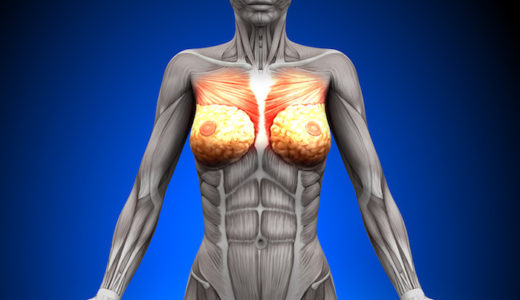 ピラティスはバストアップに効果ある?おすすめのトレーニングも紹介