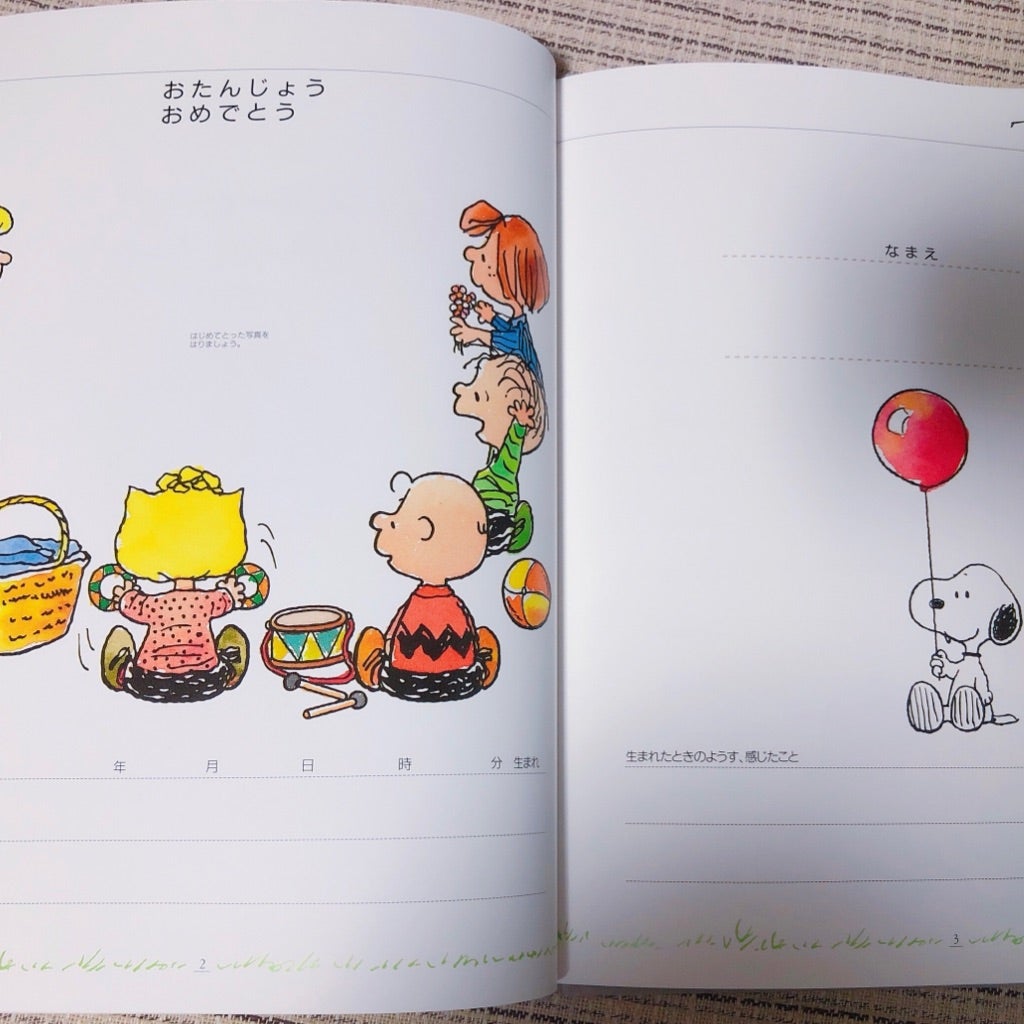 スヌーピー学習帳 さんすう 17マス セミB5 PG-2 日本ノート 2冊 - アスクル