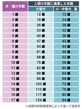 愛犬の年の数え方ペットバケットブログ