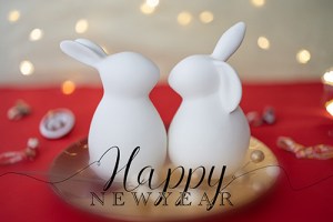 うさぎ」のアイデア 160 件 2025うさぎ, 年賀状 デザイン, 年賀状