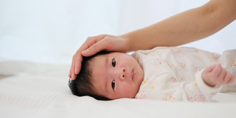 原田りょう箕面市長 on X: