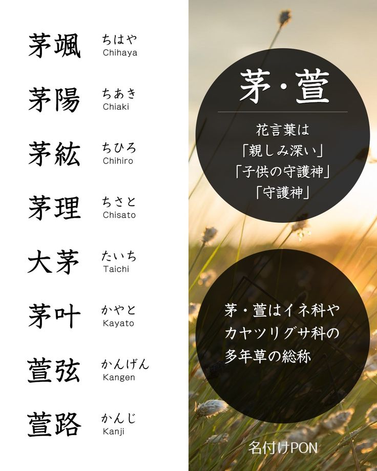 犬の名前を和風につけたい！ランキングや幸せを運ぶ名前とは？MOFFME