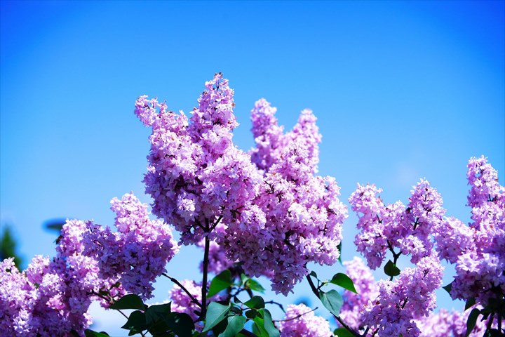 聖地巡礼 人気ドラマ「First Love ～初恋～」ロケ地を紹介DEEPLOG