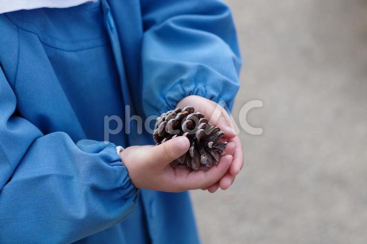 まつぼっくり」の製作・工作遊びに関する記事一覧HoiClue ほいくる