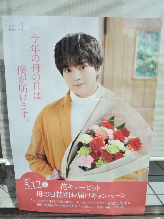 新田真剣佑と眞栄田郷敦が結婚を発表!家族構成や気になるお相手についてWedding Diary