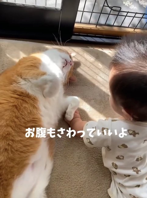 猫と赤ちゃんが１年近くともに生活した結果 尊すぎる『日々の記録』