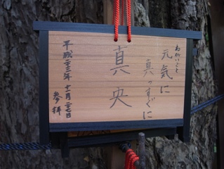 絵馬 えま とは？意味や由来・正しい書き方・奉納のやり方まで解説 じゃらんニュース