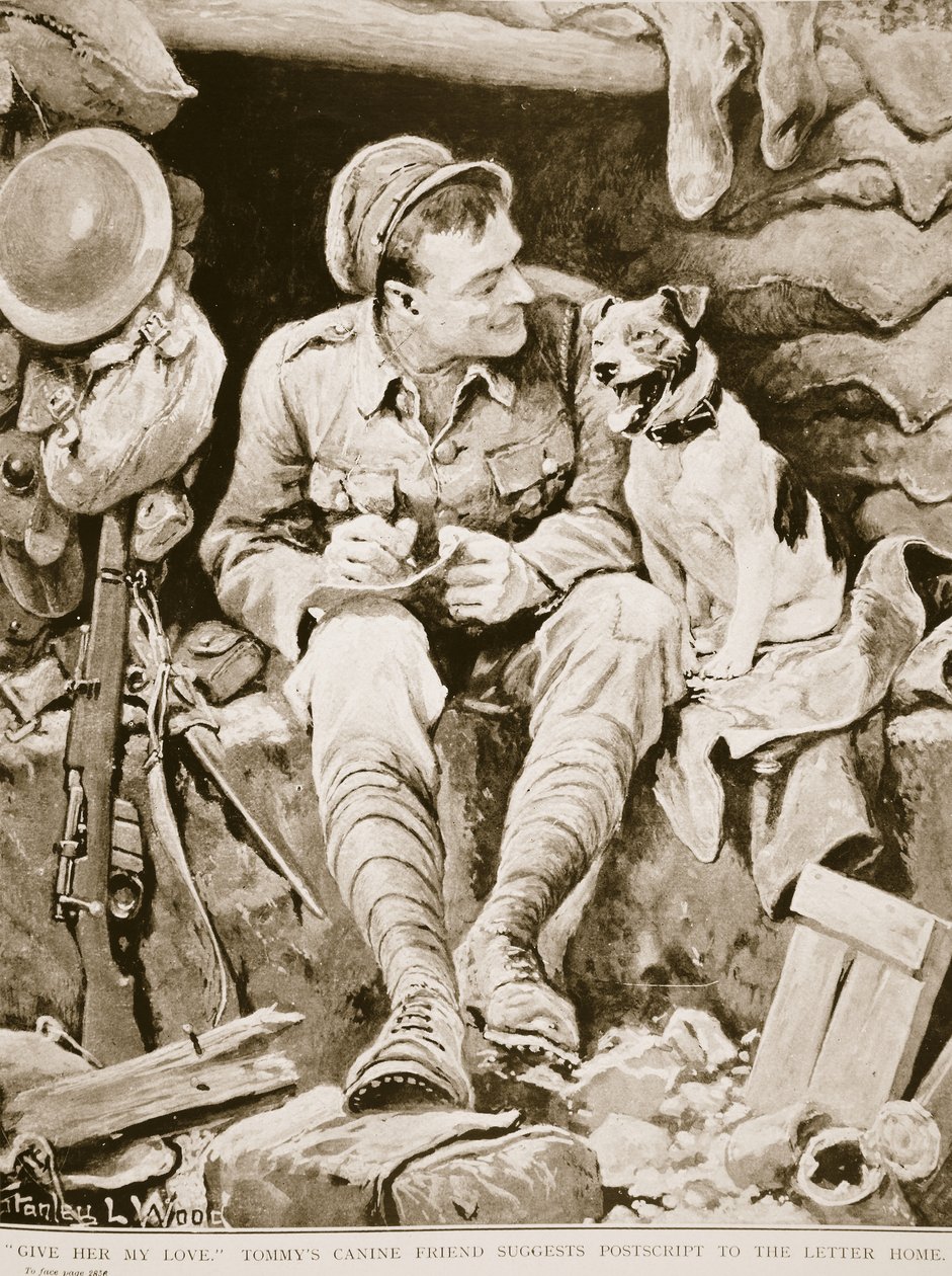 ほんわかサルーキ犬の友達会話スタンプ - LINE スタンプLINE STORE