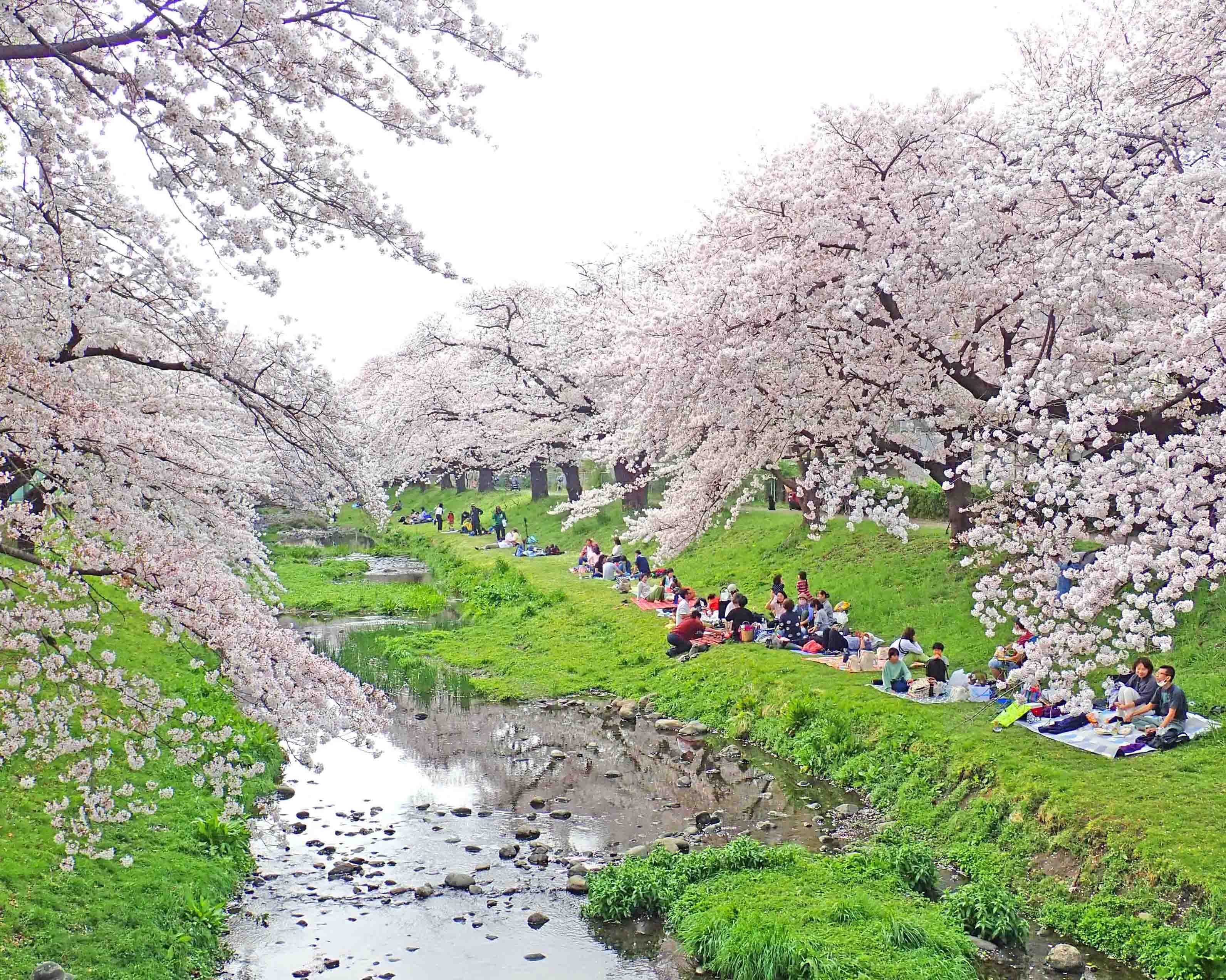 受賞一覧 受賞回別公益財団法人都市緑化機構