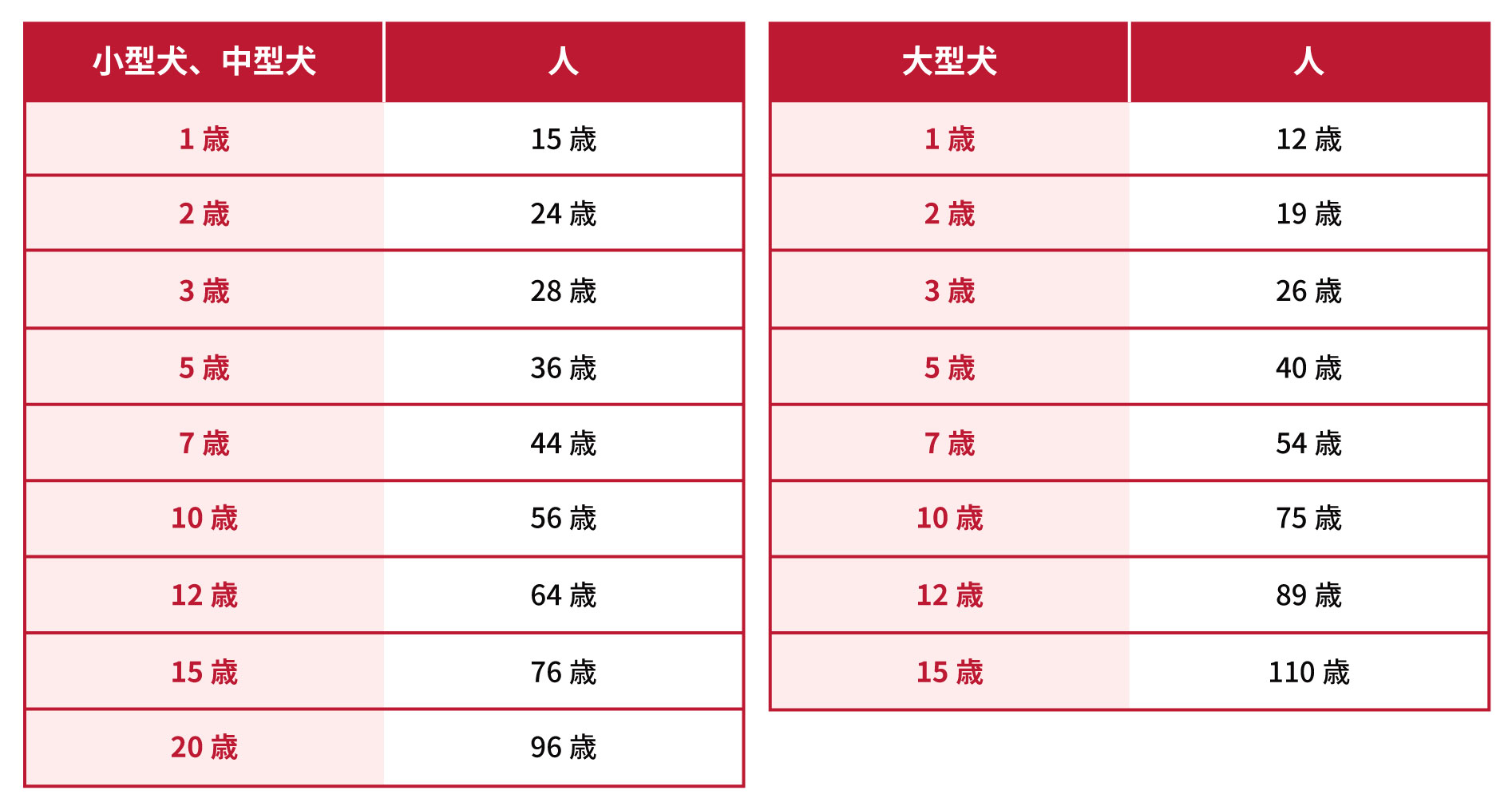 犬の年齢を人間に換算すると？年齢換算できる早見表をご紹介！ - 犬との暮らし大百科