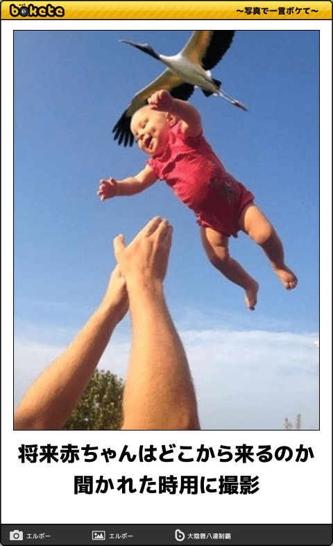 ボケて bokete- ボケて boketeadded a new photo