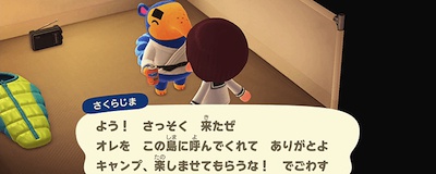 Amazon.co.jp: どうぶつの森 amiiboカード 第2弾137ペリーヌ : おもちゃ