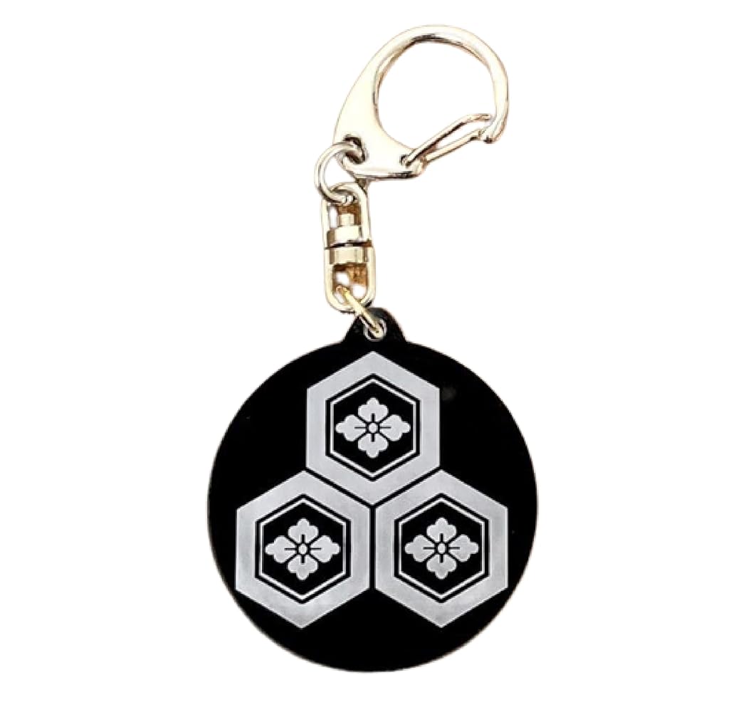 戦国時代の武将の家紋 メタリックの家紋 戦国大名浅井長政・三つ盛亀甲に花角ゴールド・ベクターデータSamurai family crest ofmetal texture の Stock イラストAdobe Stock