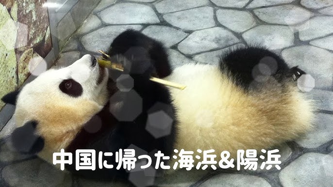 由比ヶ浜母TVアニメ「やはり俺の青春ラブコメはまちがっている。完」公式ホームページTBSテレビ