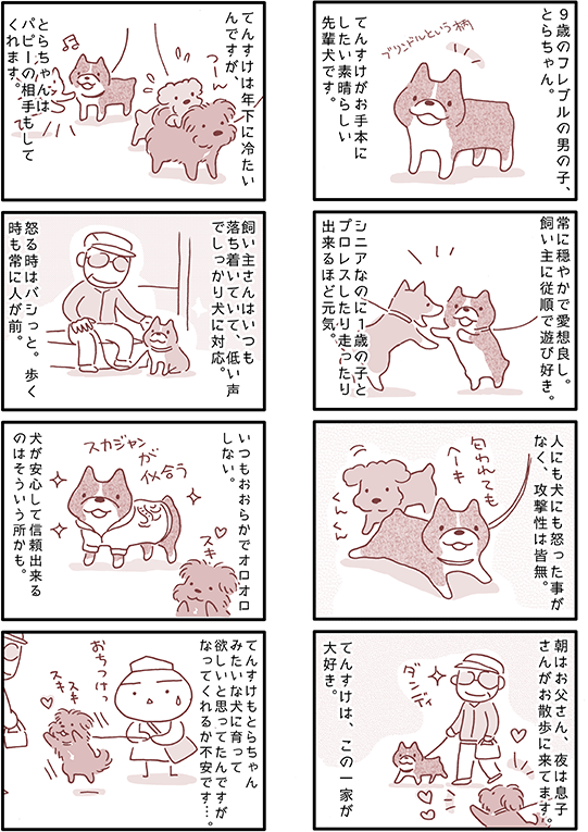 大切な親友が導いてくれた愛犬との縁。そして、犬友達と紡ぐ充実のドッグライフINUMAG イヌマグ