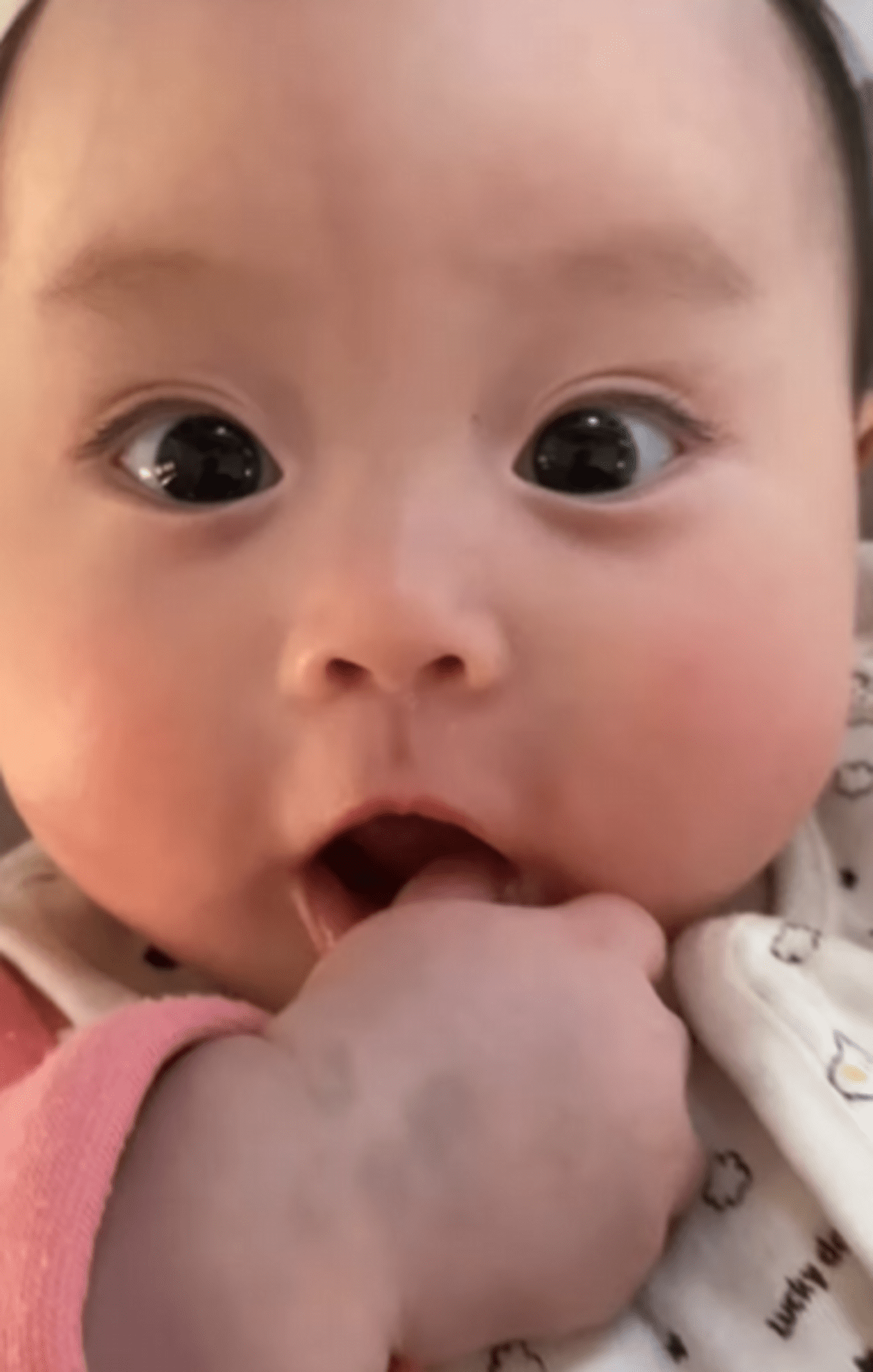 画像・写真ヨーダ似?くりくりおめめが可愛すぎるしゅうとくんフォト集7枚目eltha エルザ