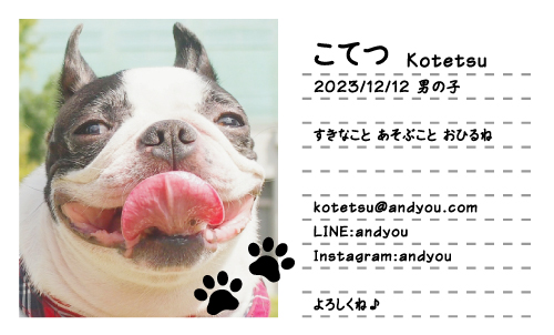 超簡単!オフ会で盛り上がるペット名刺の作り方滋賀でわんちゃん出張写真撮影・写真撮影レッスン🐶🐱わんにゃんハッピーフォト