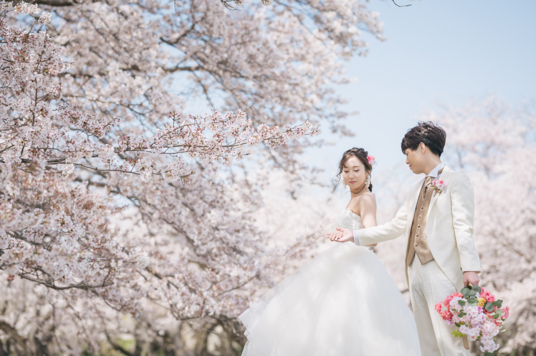桜ロケーションフォト大阪店結婚写真・フォトウェディング専門店フォトメゾンエクラン ecrin
