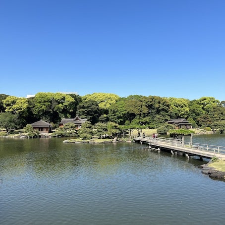 顔が釣り合わないカップルTikTok