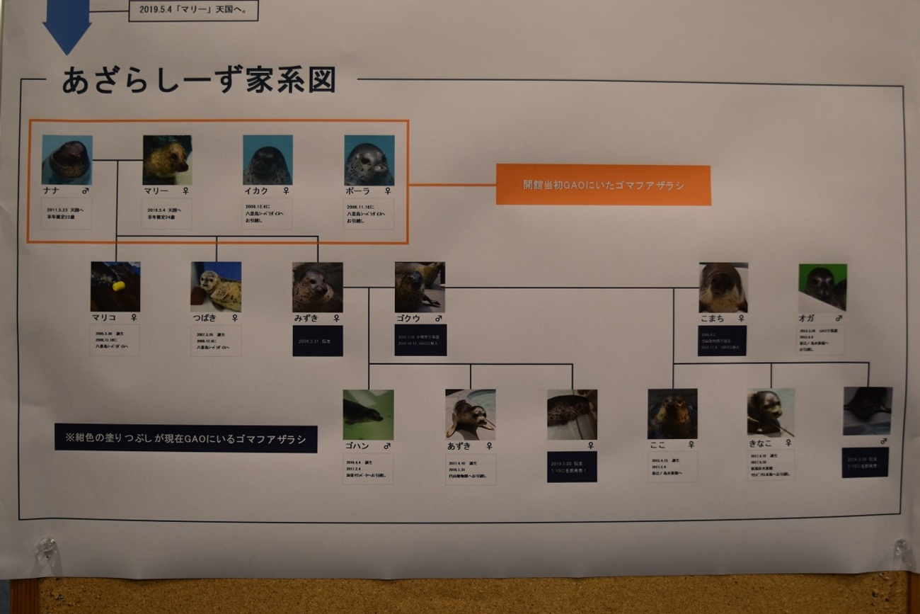 呪術廻戦の御三家・加茂家まとめ - RENOTEリノート