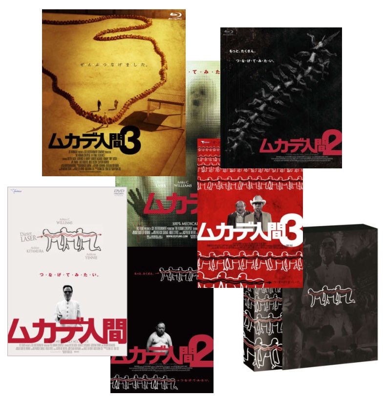 人間用トイレットペーパーを水に入れてみる実験猫砂レポート