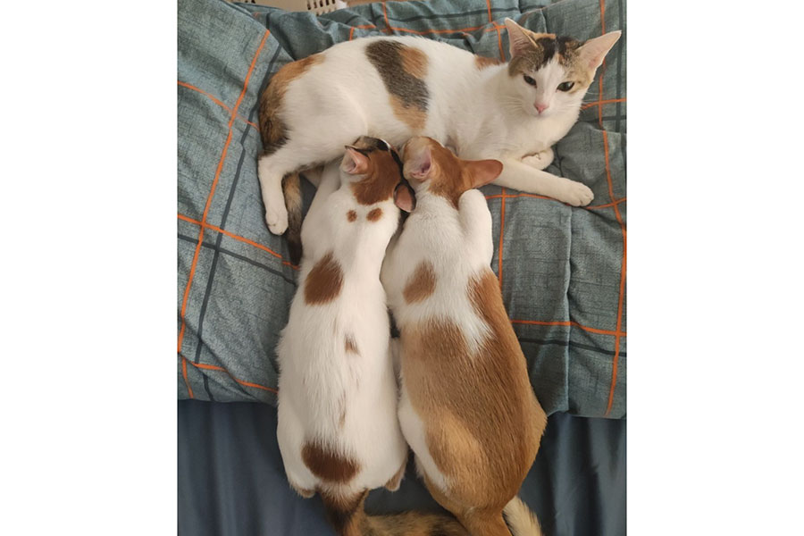 顔うずめたがり酒井千佳オフィシャルブログ「ゆるり日和」