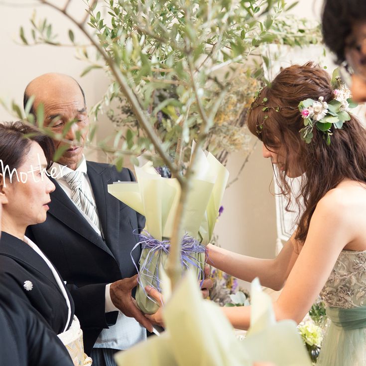 オリーブの木 6号角鉢オリーブ 苗木 olive 観葉植物 新生活 新築祝い 結婚祝い 開店祝い 誕生日プレゼント 送料無料 楽天市場オリーブの木 観葉植物 オリーブ 6号鉢 Mサイズ 品種で選べる 季節の花鉢シリーズ ギフト 観葉植物 オリーブの木 苗木 鉢植え 販売