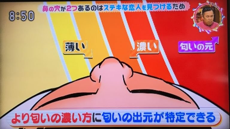 画像・写真 NHK『チコちゃんに叱られる!』の“鼻水マン”が大バズり！元ジュノンボーイで『仮面ライダー555』俳優の半田健人が語った“干された”原因週刊女性PRIME