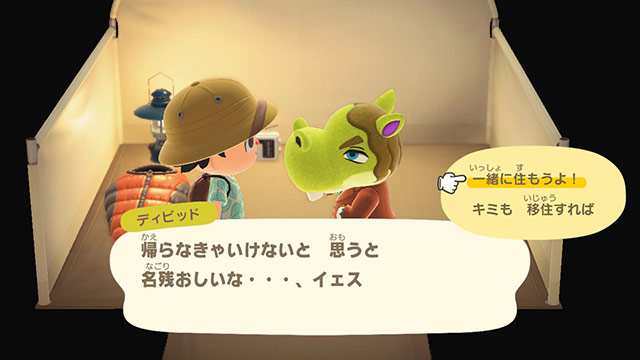 あつ森 キャンプサイト厳選2週目でちゃちゃまるをお迎えするまでの記録とやり方 - 夜間飛行