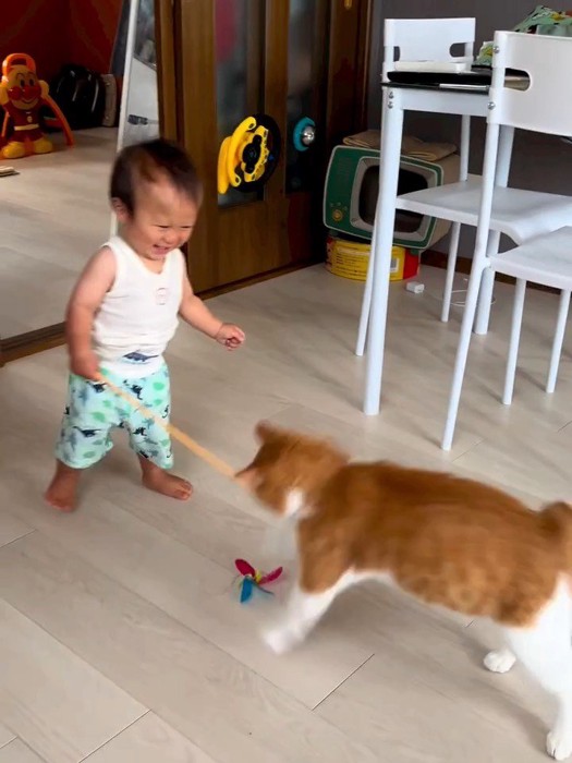 心優しい猫さんたち💕 こどものために「空気を読む」🥰