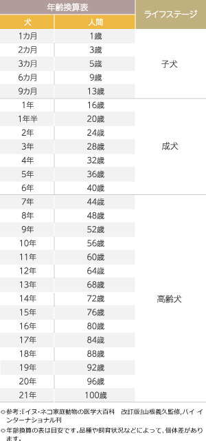 最新版 犬と人間の年齢換算表・体型別一覧子犬のへや