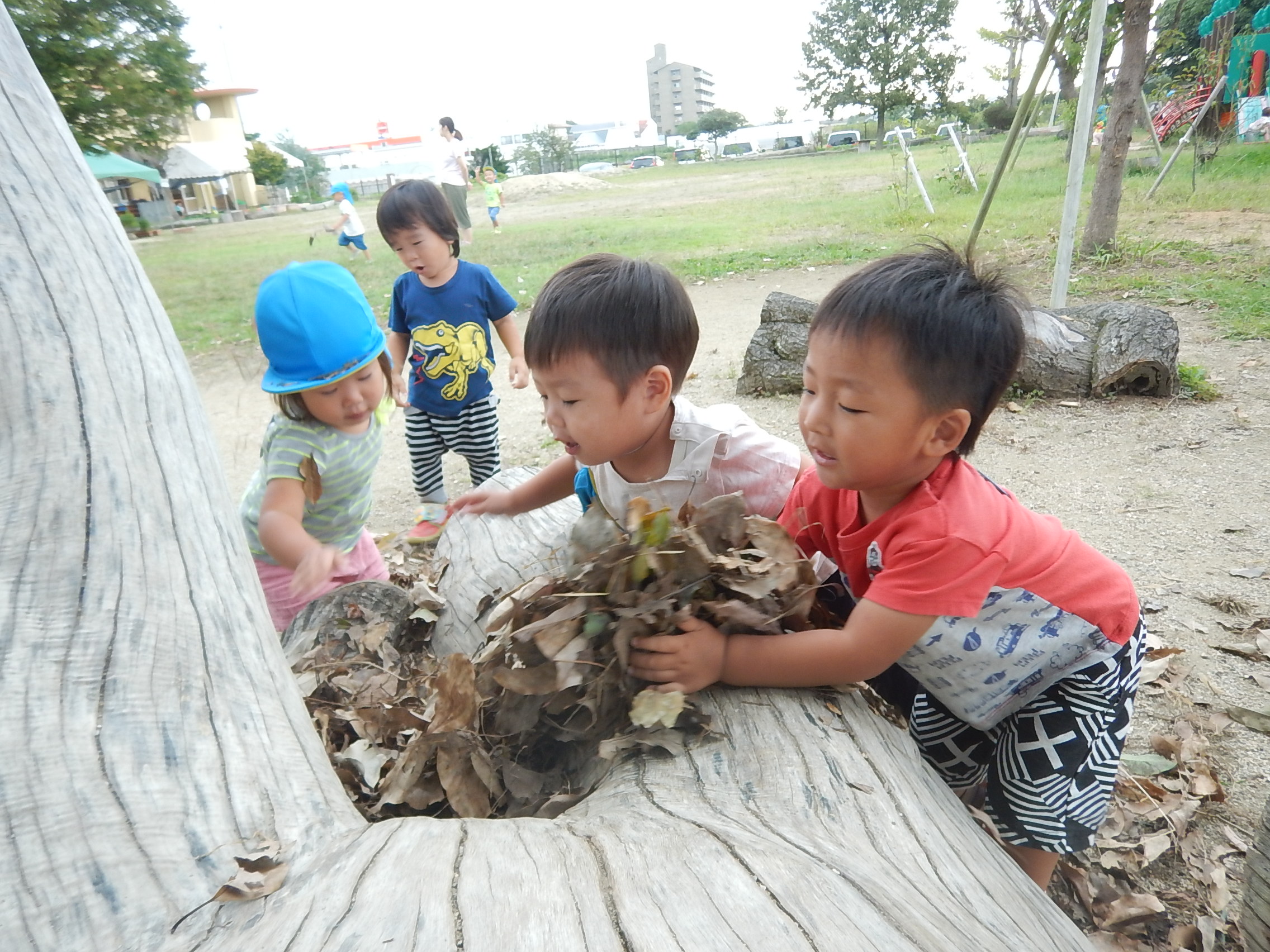 小麦粉粘土をしたよ✿はなぐみ 1歳児大津野こども園