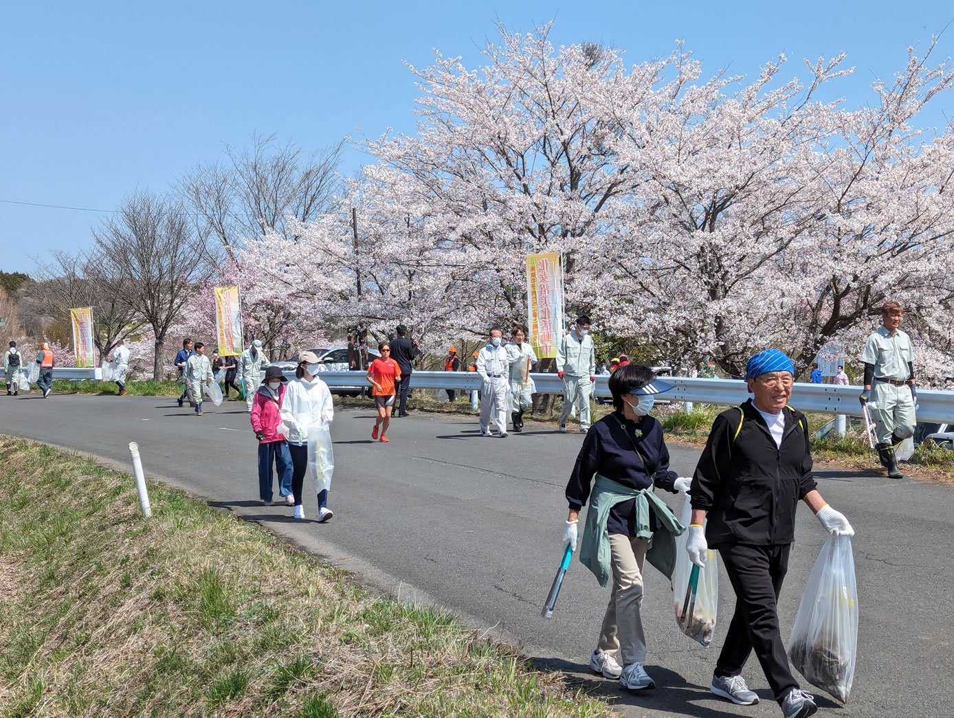 徳源院の道誉桜滋賀県緑化推進会