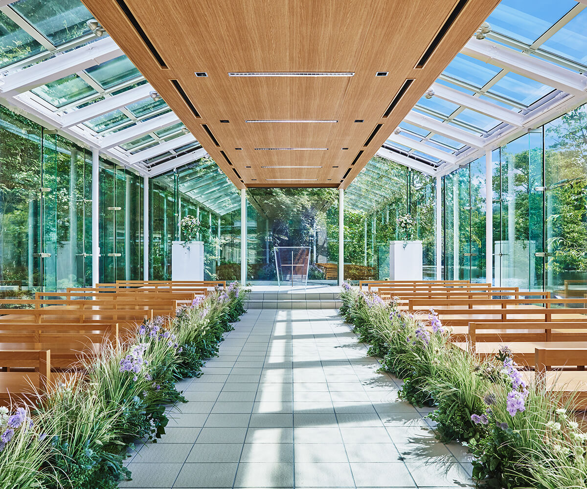 ウィラ・ホランド：プロフィール・最新ニュース -人物情報 クランクイン