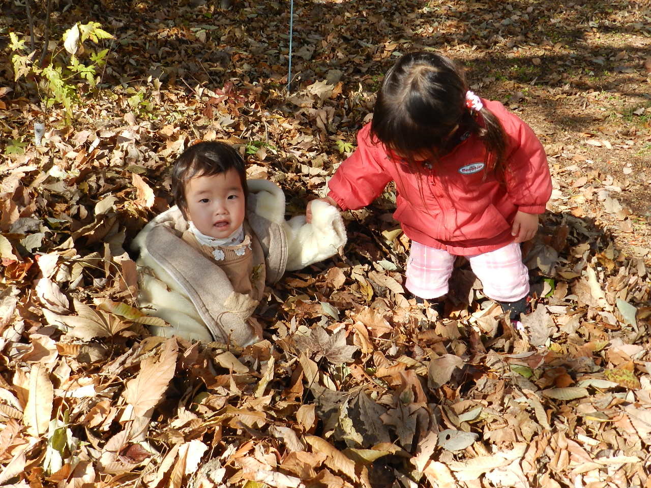 本日ご紹介するのは 小さな冒険がいっぱい “はじめての夏”をおもいでに 麦わら帽子をかぶって、 蚊に刺されて泣いて、 でも夢中で虫を追いかけてた——そんな“はじめての夏”は、 大人にとっては何気ない瞬間も、子どもにとっては全部が冒険🌻 ・プールや水あそびのびっくり