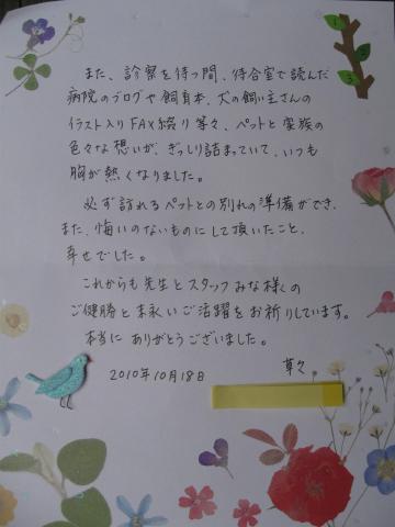 お花とメッセージカードでペットへのお悔やみを伝える方法フラワーファーム