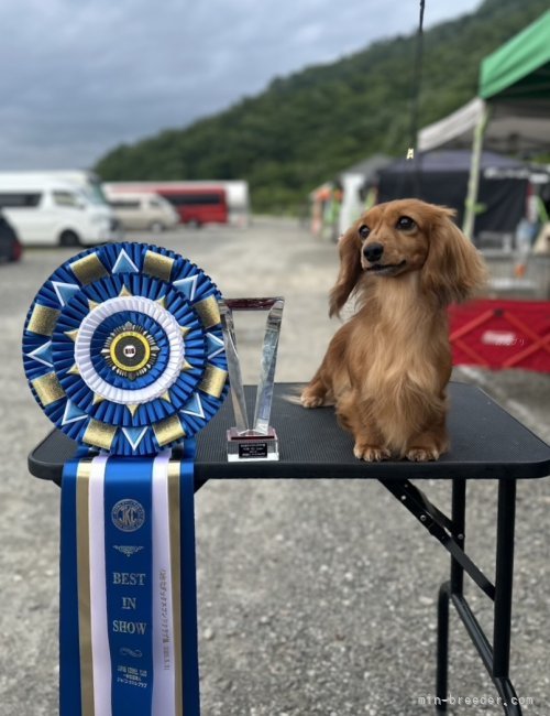 小林麻美ポスター サントリーワイン レゼルブ