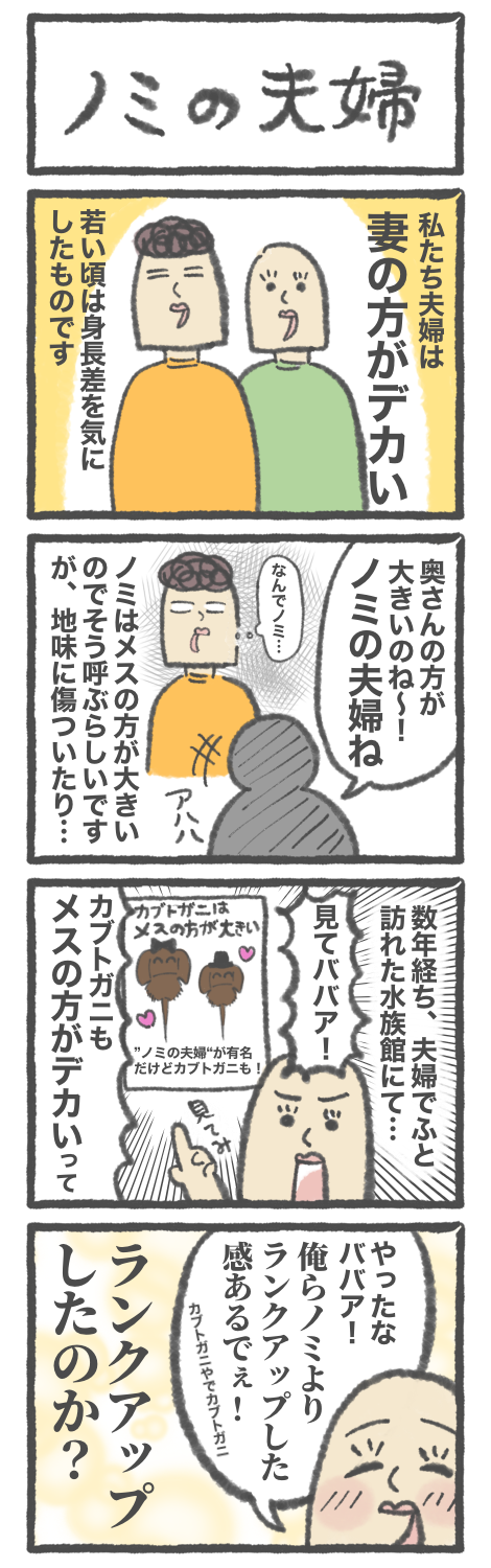 体格差をものともせず 2匹の愛猫の“ガチバトル”に「コミュニケーションがハード」オトナンサ