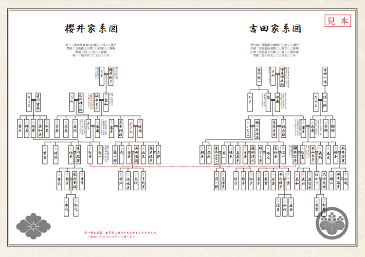戸籍家系図コース1000年家系図_家系図の作り方